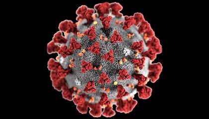 Coronavirus Covid-19